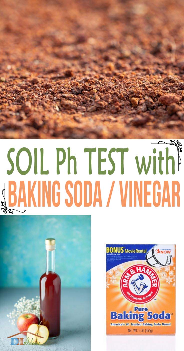 Check Soil Ph At Home Gardening Hacks
