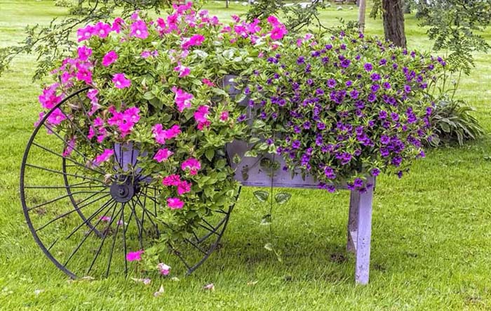 Climbing Plants in a Wheelbarrow Planter #decorhomeideas