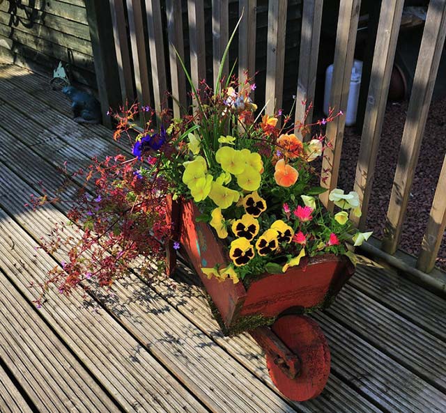 Deck Wheelbarrow #decorhomeideas