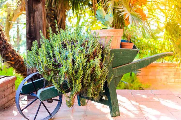 Green Wheelbarrow Planter for a Garden #decorhomeideas