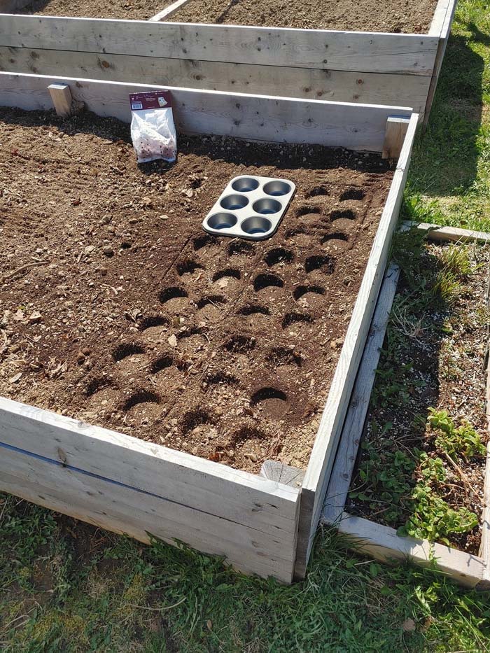 Muffin Tin for Spacing Out Seeds #decorhomeideas