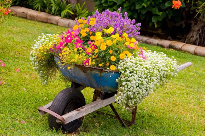 Overflowing Wheelbarrow of Long, Hanging Plants #decorhomeideas