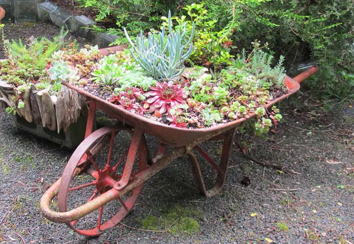 Rustic Red Wheelbarrow for Succulent Plants #decorhomeideas