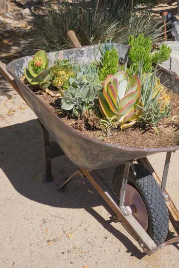 Rustic Wheelbarrow Planter for Succulents #decorhomeideas