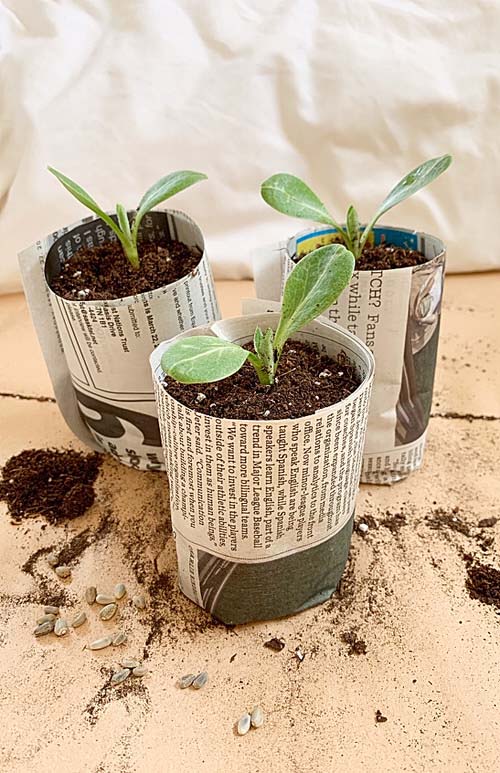 Seed Starting Pots from Old Newspapers #decorhomeideas