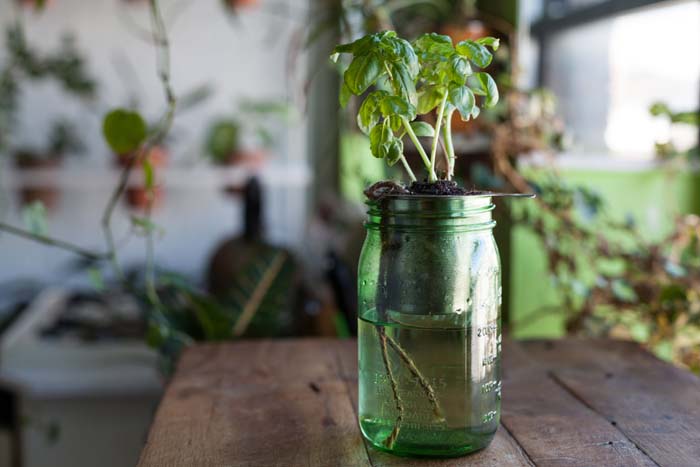 Self Watering Planter #decorhomeideas