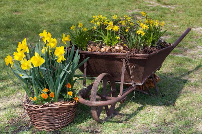 Shades of Yellow Wheelbarrow to Brighten Your Garden #decorhomeideas