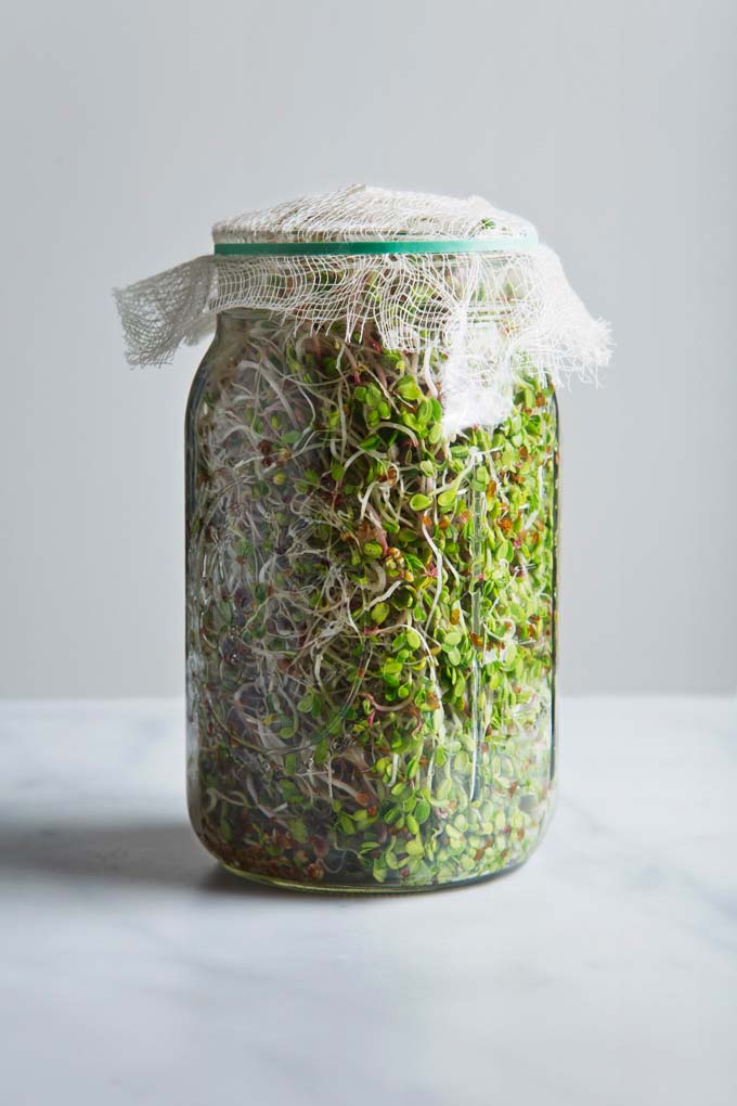 Sprouts In Jar #decorhomeideas