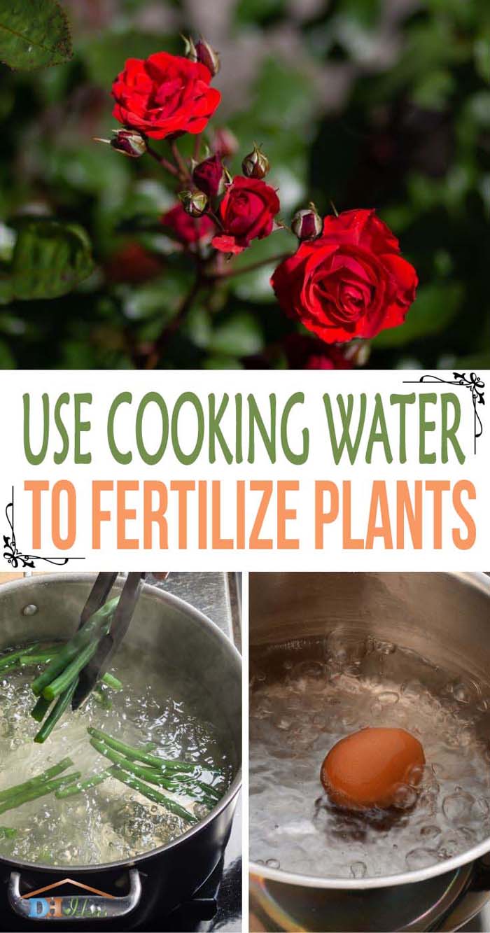 Use Cooking Water to Fertilize Plants #decorhomeideas