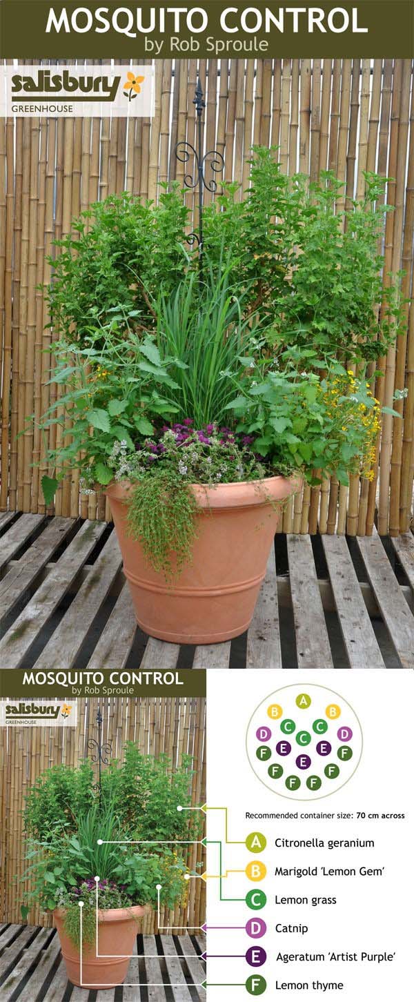 Use Herbs to Deter Mosquitoes! #decorhomeideas