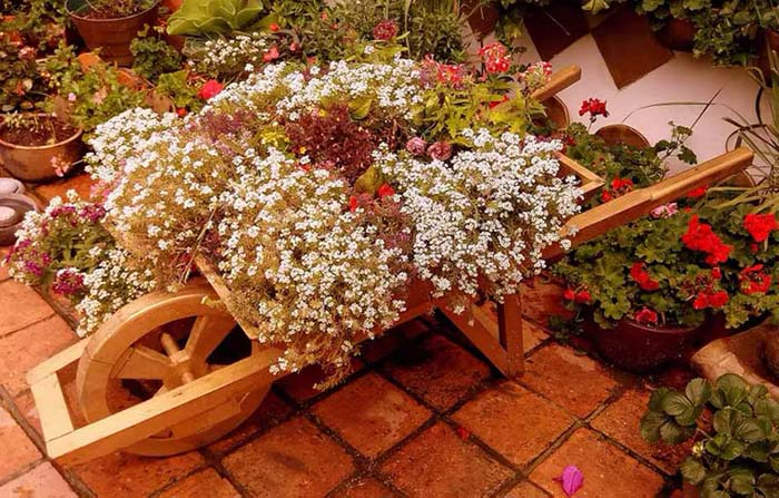 Wheelbarrow of Blooms of Red #decorhomeideas
