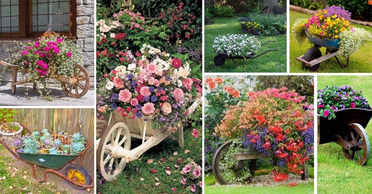 Wheelbarrow Planter Ideas