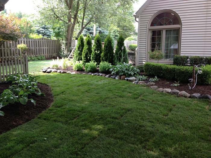 Disguise a Pool With Arborvitae