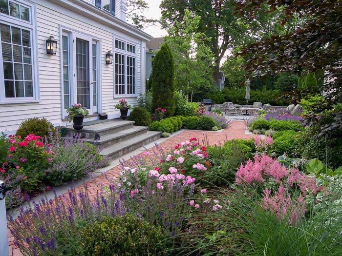 Arborvitae Planted on a Foundation Corner