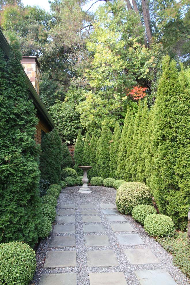 Arborvitae Blend With Boxwoods