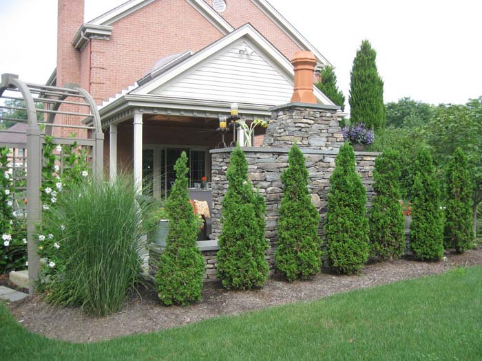 Ocultar estructuras de paisajismo con Arborvitae