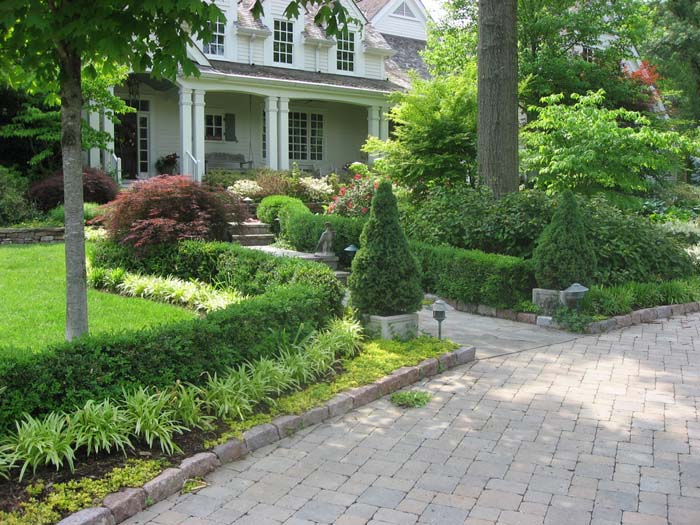 Grow Emerald Green Arborvitae in Containers