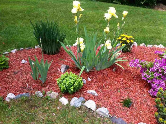 Red Mulch in Garden With Rock Edging