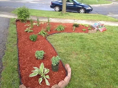 Bring More Color to Your Landscape