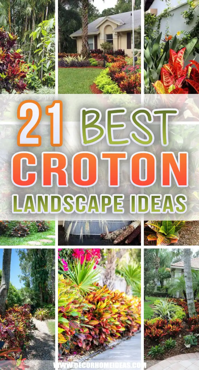 Spruce up your landscape with these croton landscaping ideas and add some color and texture to your outdoor space. #decorhomeideas