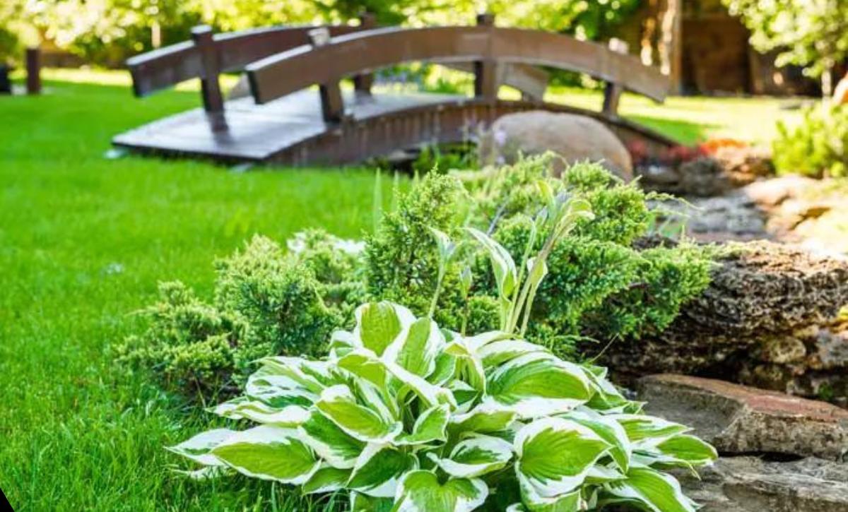 Best of Rock Garden Ideas