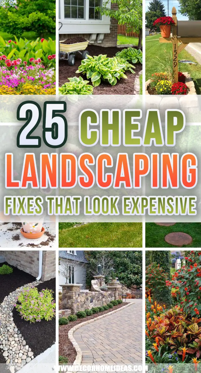 Cheap Landscaping Fixes That Make Your Yard Look Expensive. Landscaping doesn't have to cost a bunch of a money. Some great design planning and a little DIY work can give you cheap landscaping fixes that look expensive. #decorhomeideas