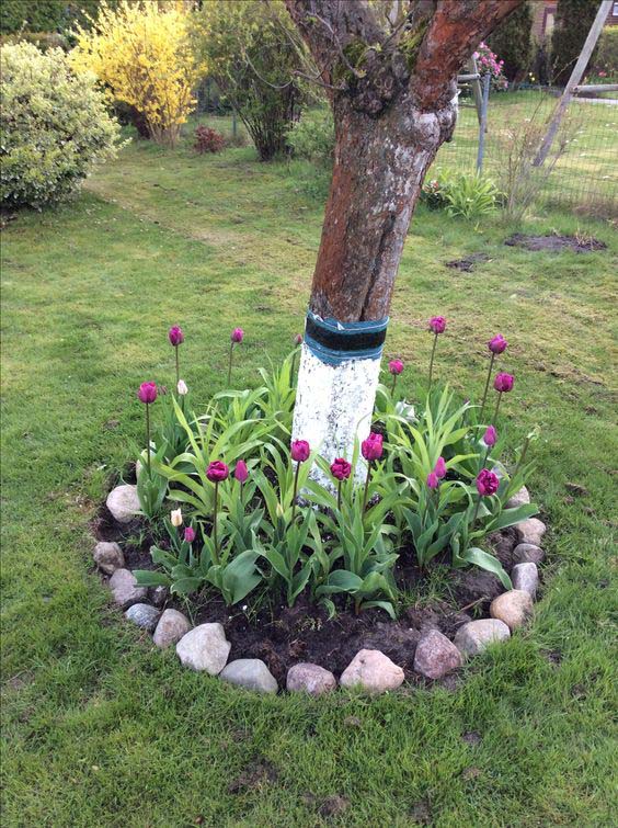 Super Easy Tree Edging Idea