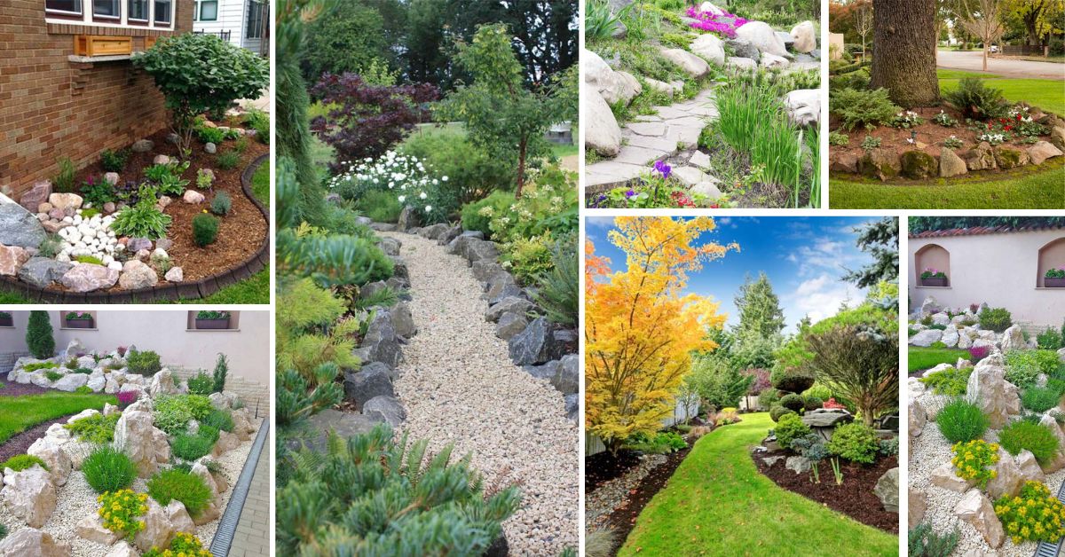 Rock Garden Ideas