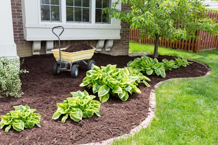 Use Mulch To Create Contrast #decorhomeideas