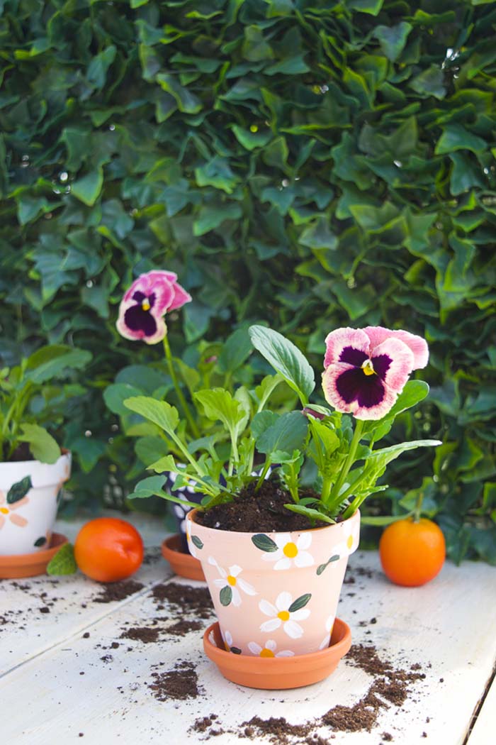 Spice Up Ordinary Planters #decorhomeideas