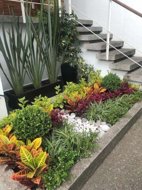 Crotons Bring the Curb Appeal