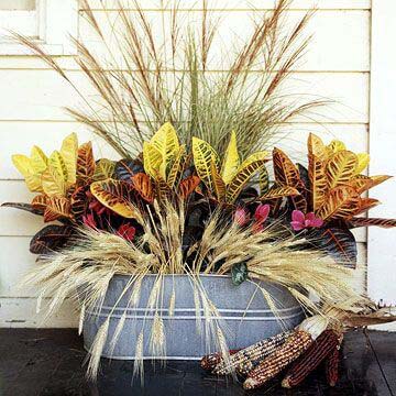 Crotons Are a Colorful Addition to Fall Display