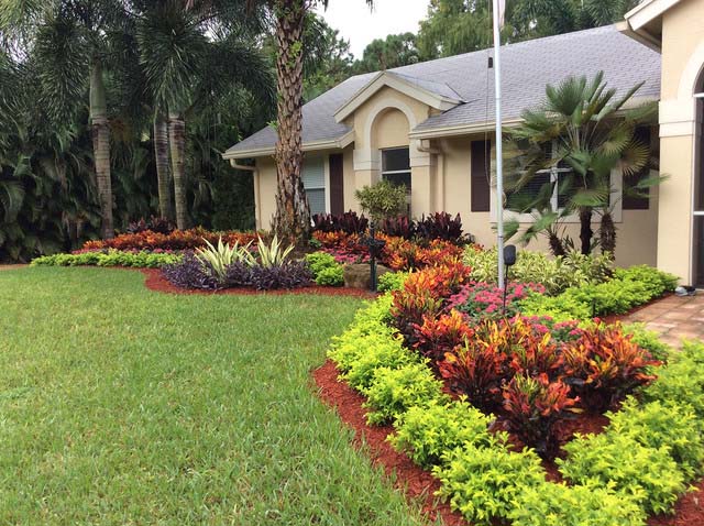 Contrast Crotons With Bright Ground Cover