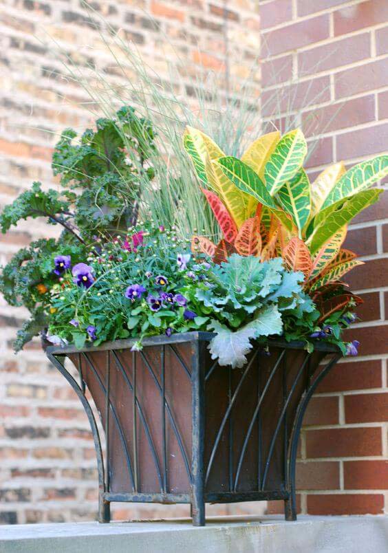 Use Crotons in Floral Planters