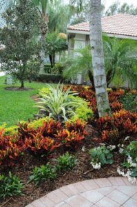 21 Awesome Croton Landscaping Ideas To Add More Color To Your Garden