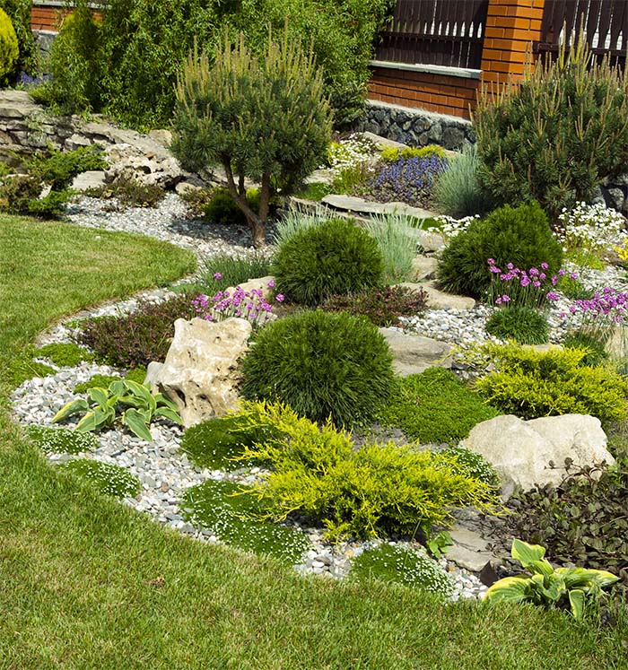 Create Rock Garden