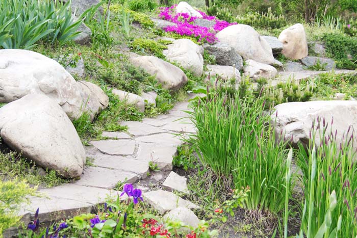 Dry Riverbed Path