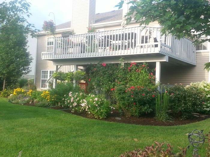Plant an Extraordinary Garden Under Your Deck