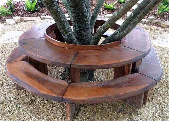Curved Bench Around Tree