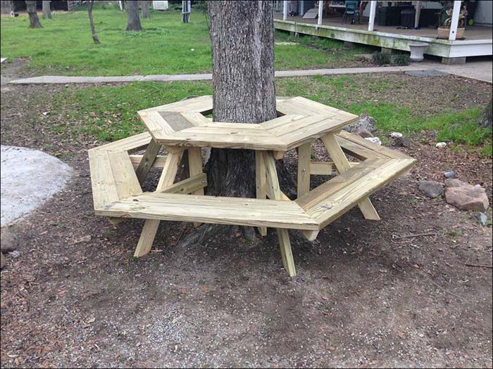 Bench For Backyard Picnic