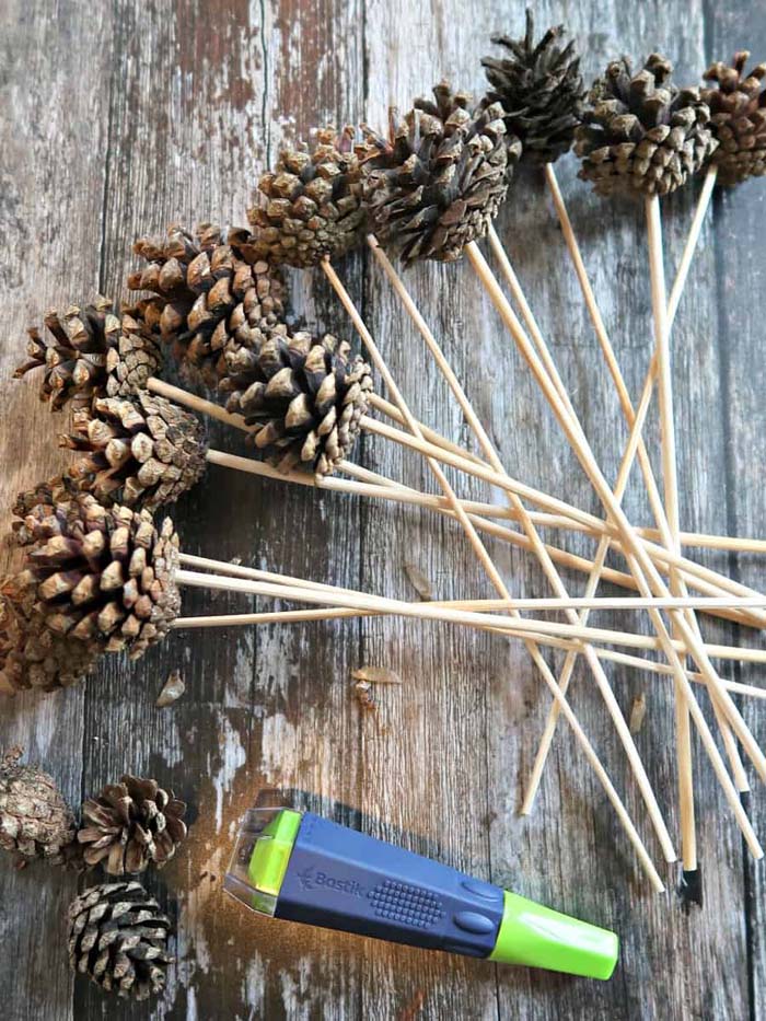 Pine Cone Picks