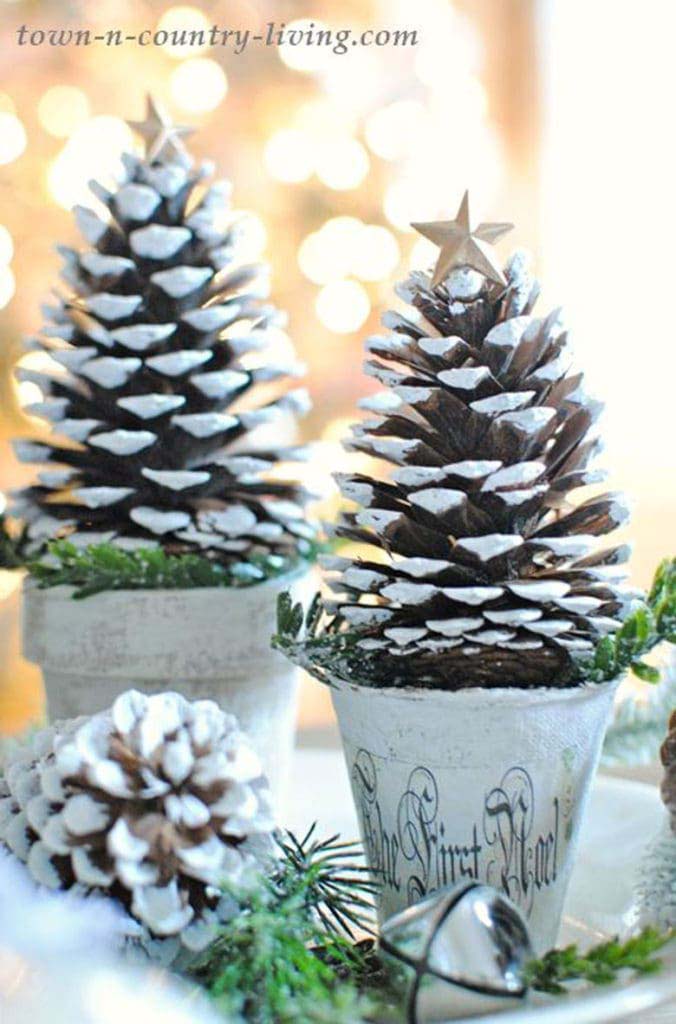 Potted Pinecones