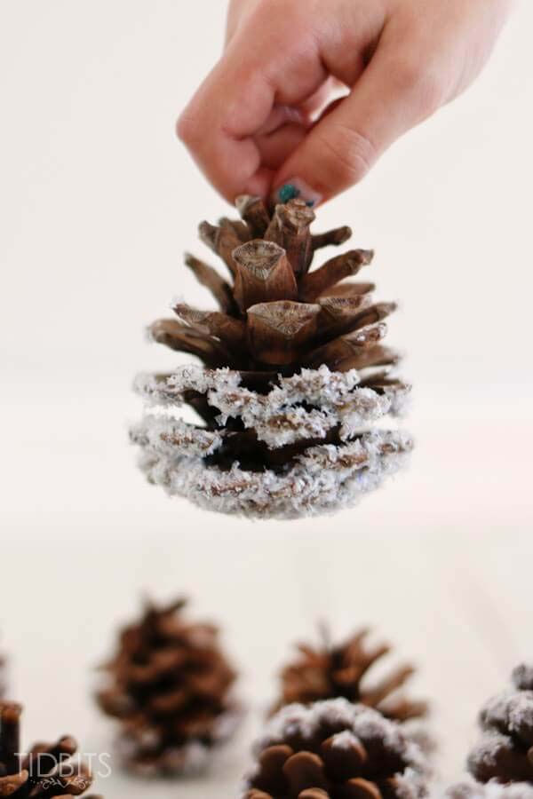 Realistic Snowy Pinecones