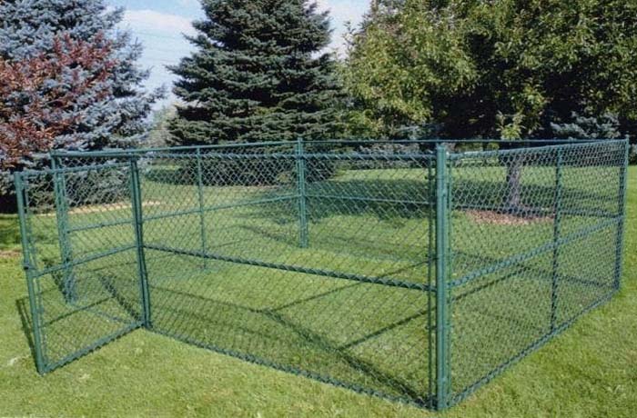 Dog Zone With Green Chain Link Fence