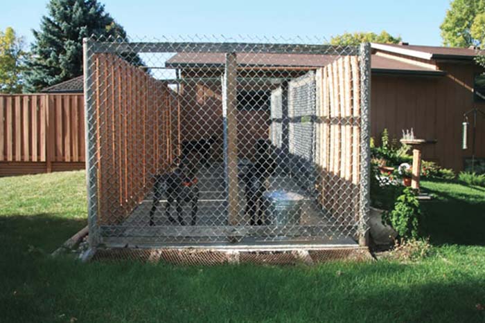 Dog Area With Concrete Floor And Chain Link Fence