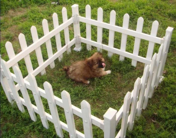 Temporary Fence For A Baby Dog