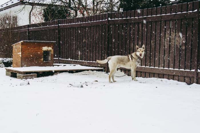 Wooden Fence Idea