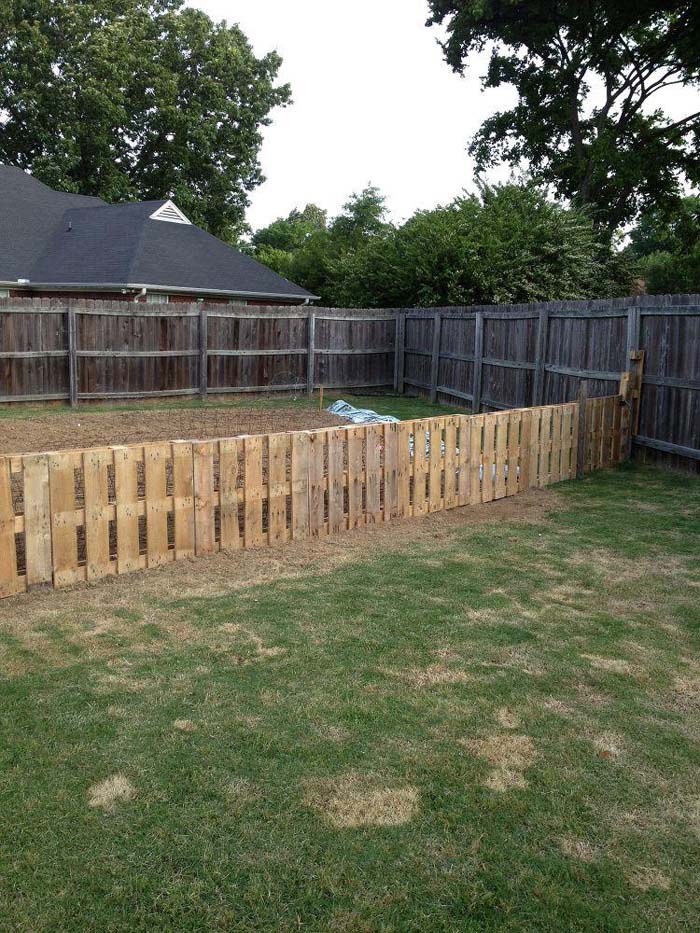 Low Pallet Fence