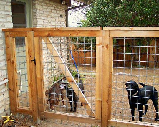 Fence With A Gate