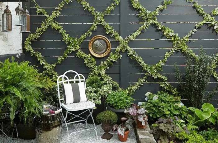 Upgrade The Fence With Climbing Plants
